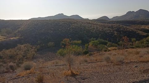 Foto 2 von Grundstücke zum Verkauf in Bejar, Lorca