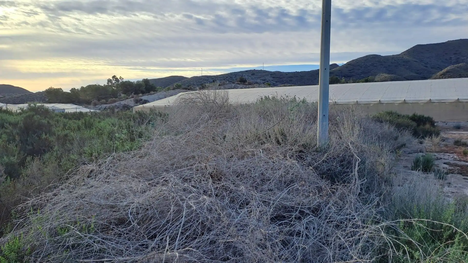 Land for sale in Águilas