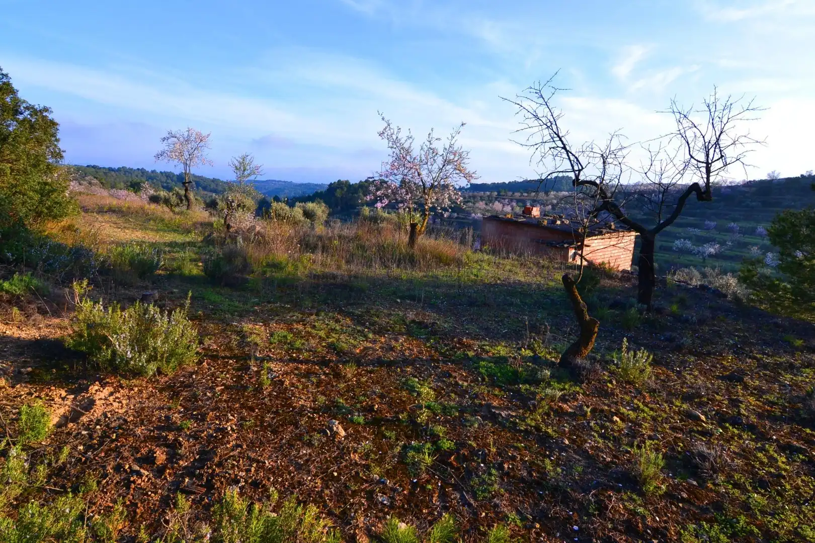 Rural land for sale in Corbera d'Ebre, imagen 57
