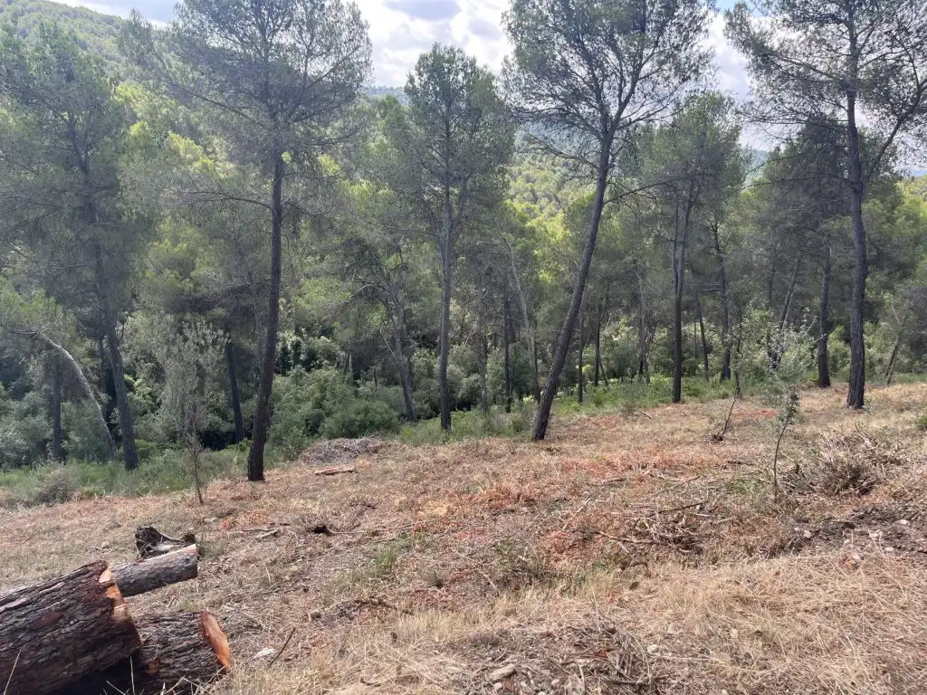 Residential land for sale in Viladecavalls, imagen 9