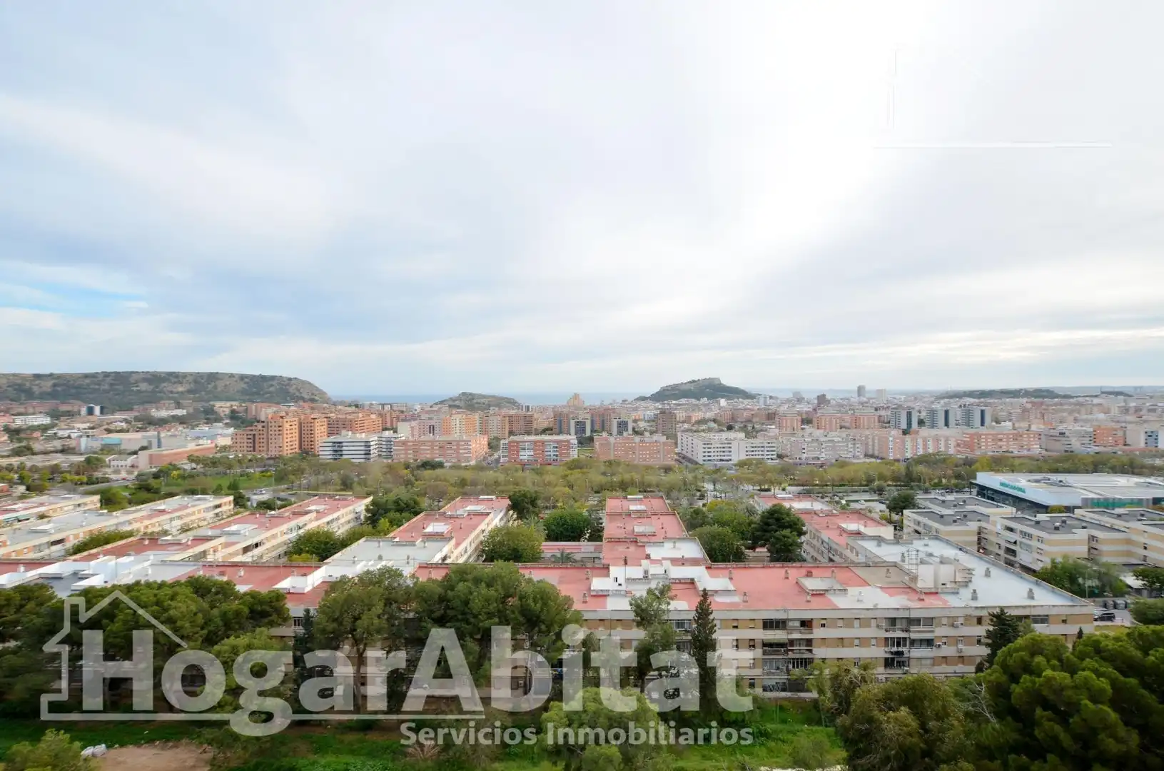 Piso con jardín en venta en Calle Pintor Pedro Camacho, imagen 10