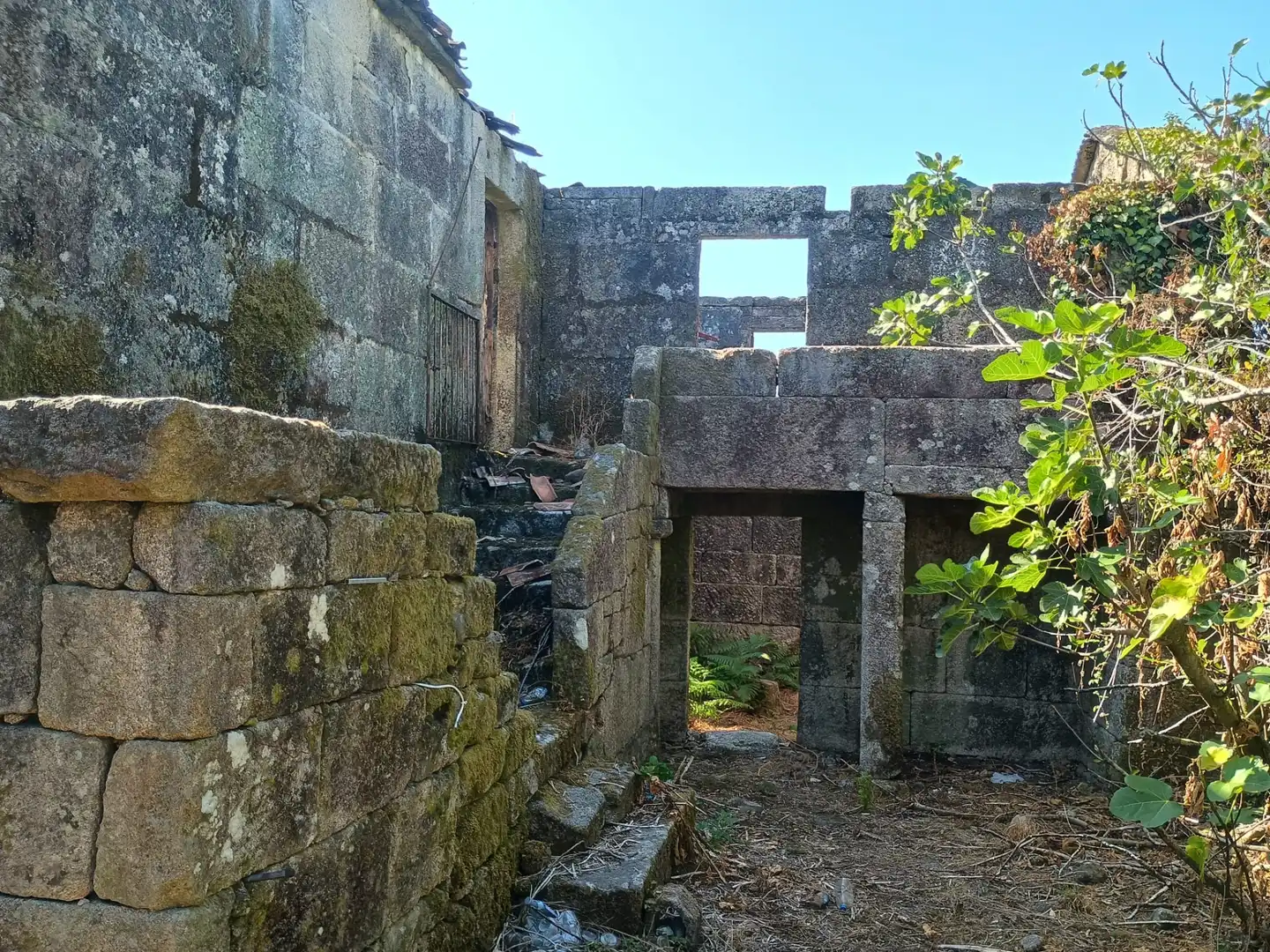 Vista exterior de Casa o chalet en venta en Fornelos de Montes con Jardín privado