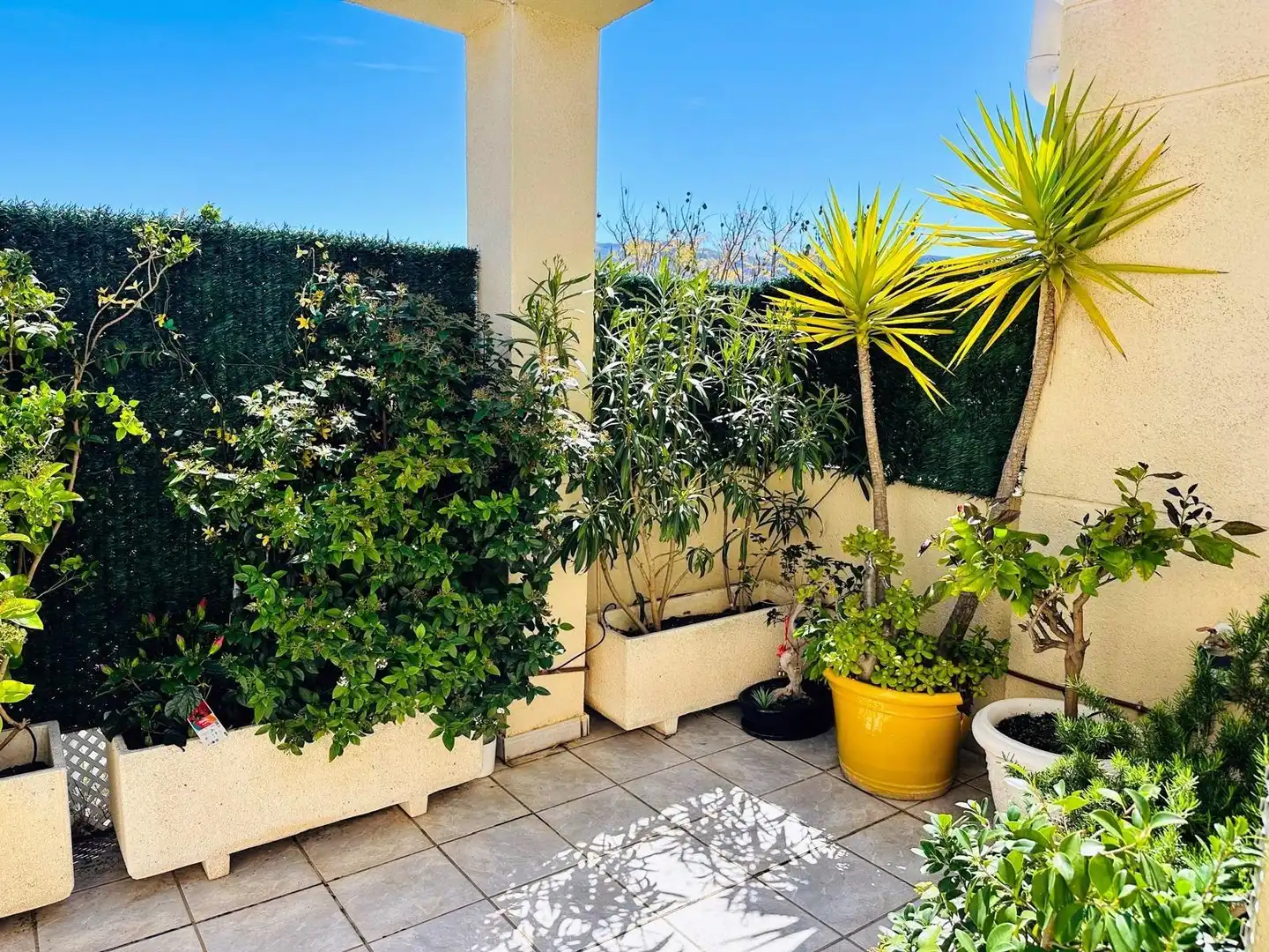 Attique avec terrasse à vendre à Calle Assagador de la Marjal, imagen 44