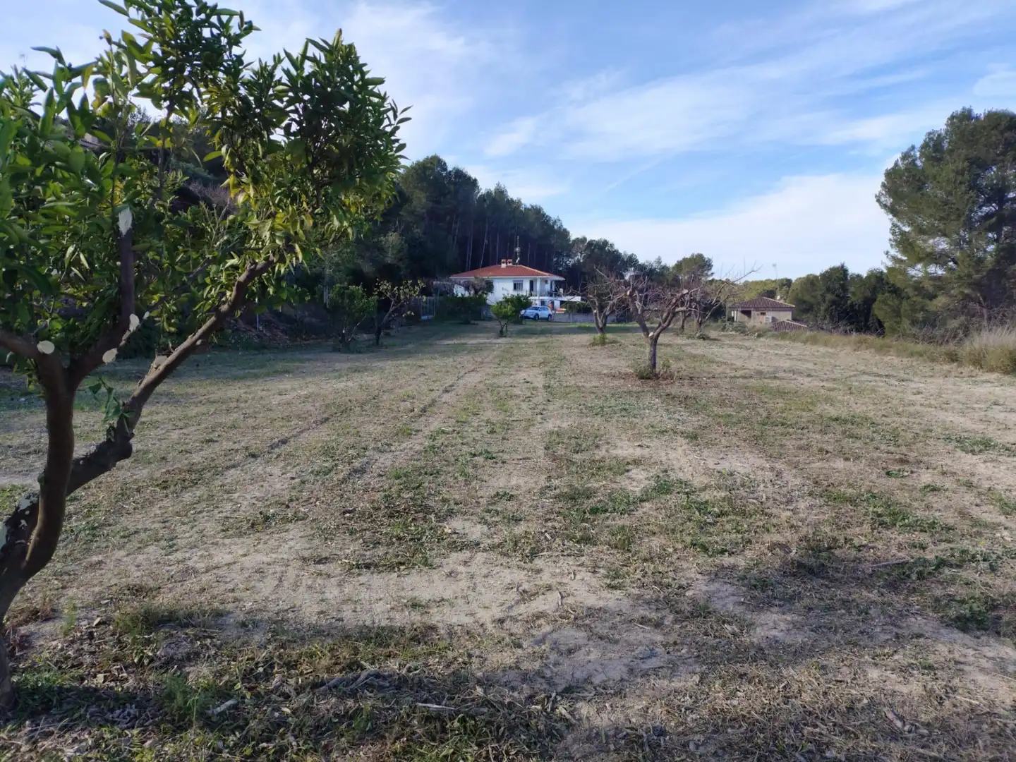 Terreno residenziale in vendita a Agullent, imagen 7