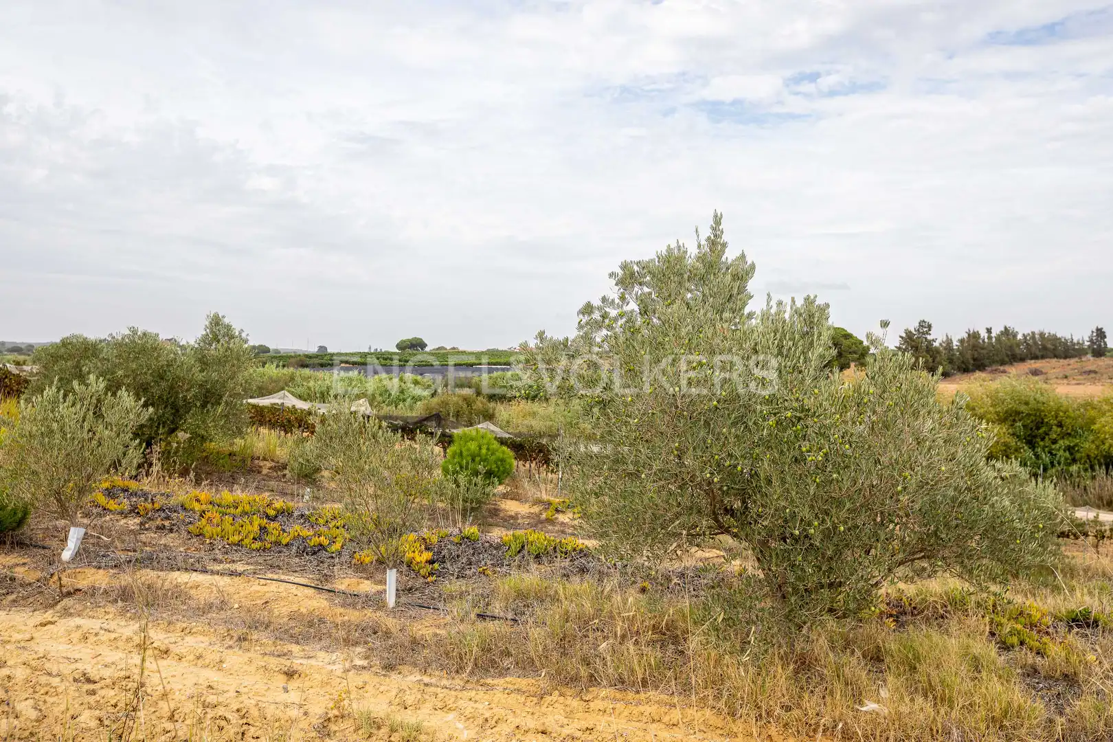 Casa o chalet en venta en Cartaya con Calefacción, Jardín privado y Terraza