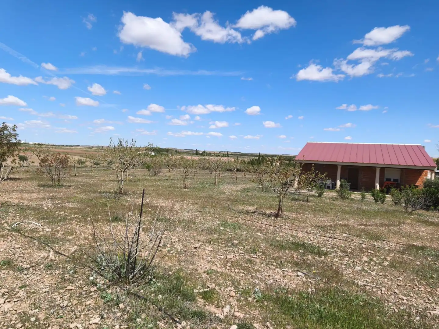 Finca rústica en venta en Alcázar de San Juan