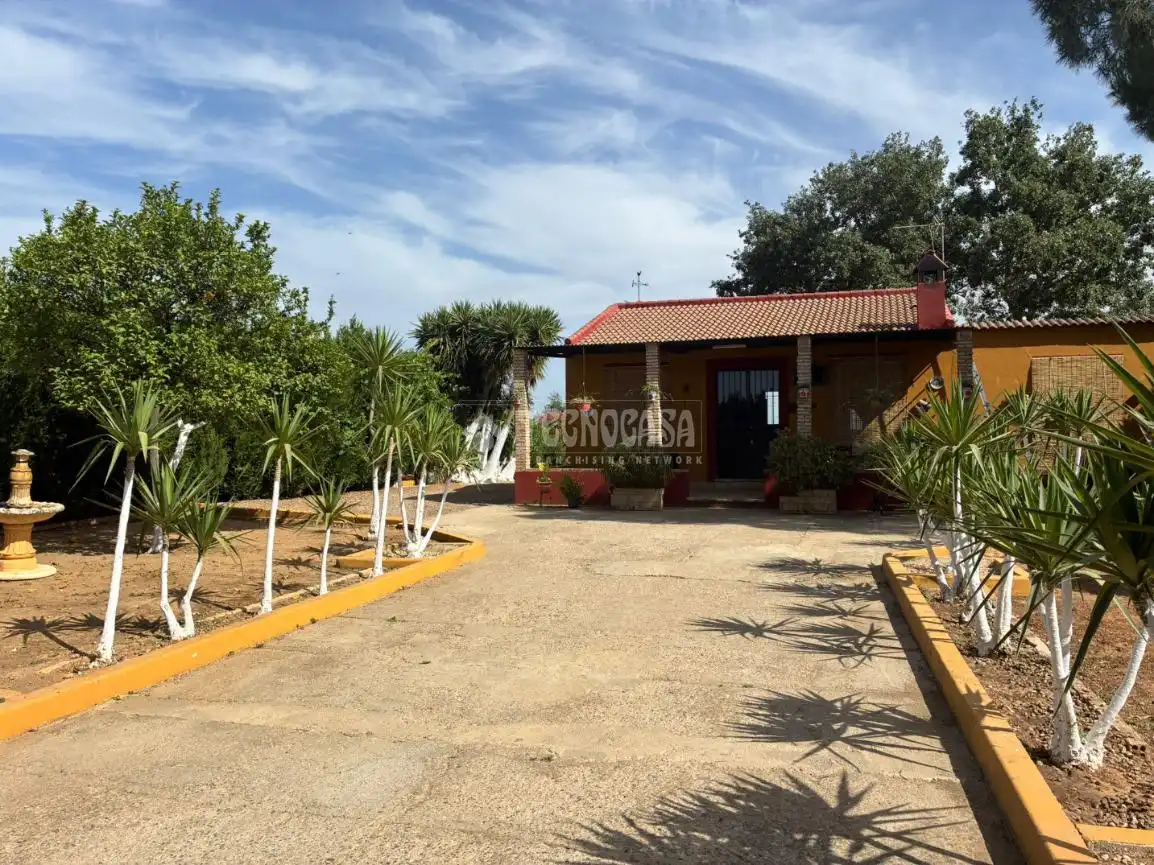 Garden of Country homes for sale in Pilas  with Private garden