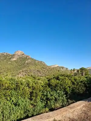 Terrain rustique à vendre à Terrenos MARXUQUERA  ALTA, imagen 16