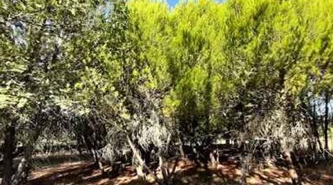 Foto 2 de Terreno en venta en Calle Dios Padre, 17, Santa Cruz de Paniagua, Cáceres