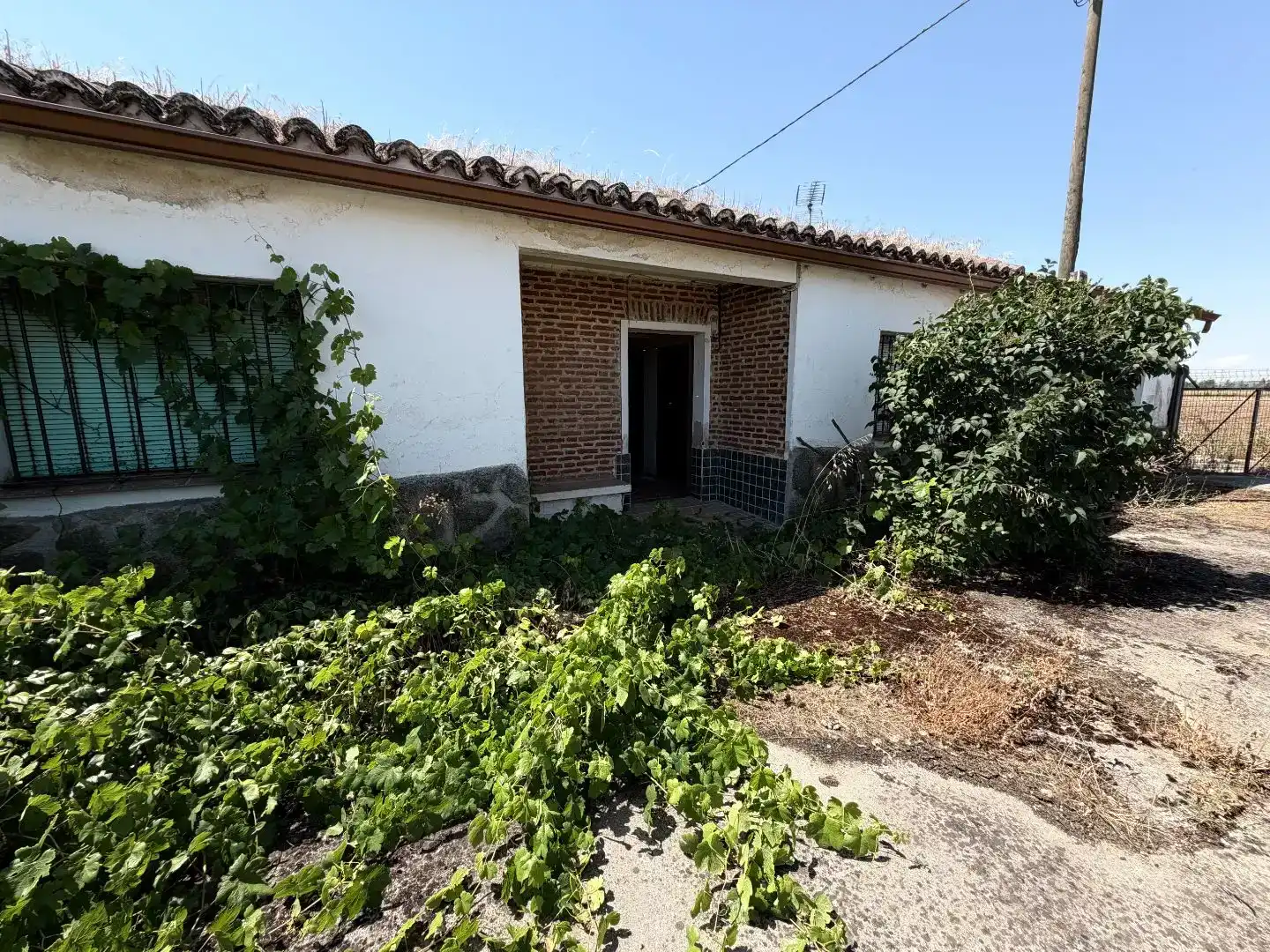 Vista exterior de Finca rústica en venda en Calera y Chozas