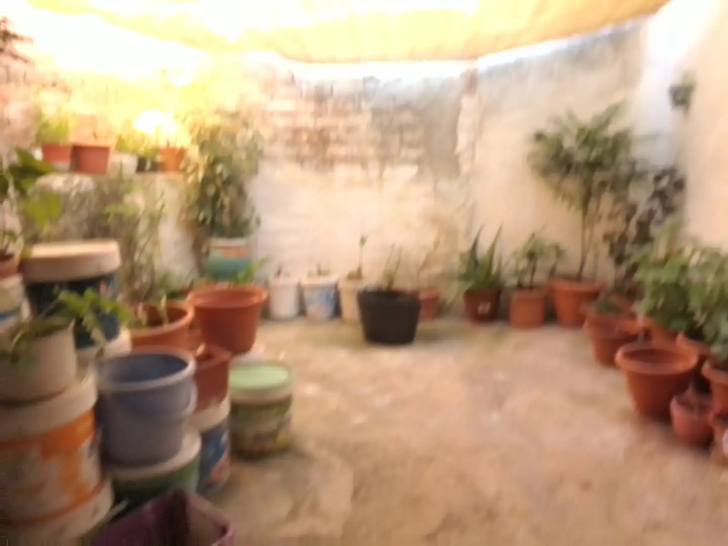 Casa rústica amb jardí en venda a Ubrique, imagen 19