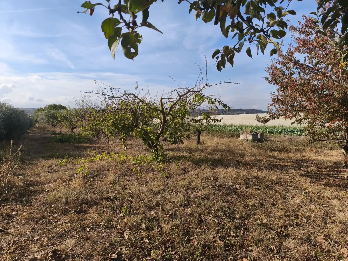 Land for sale in  Logroño