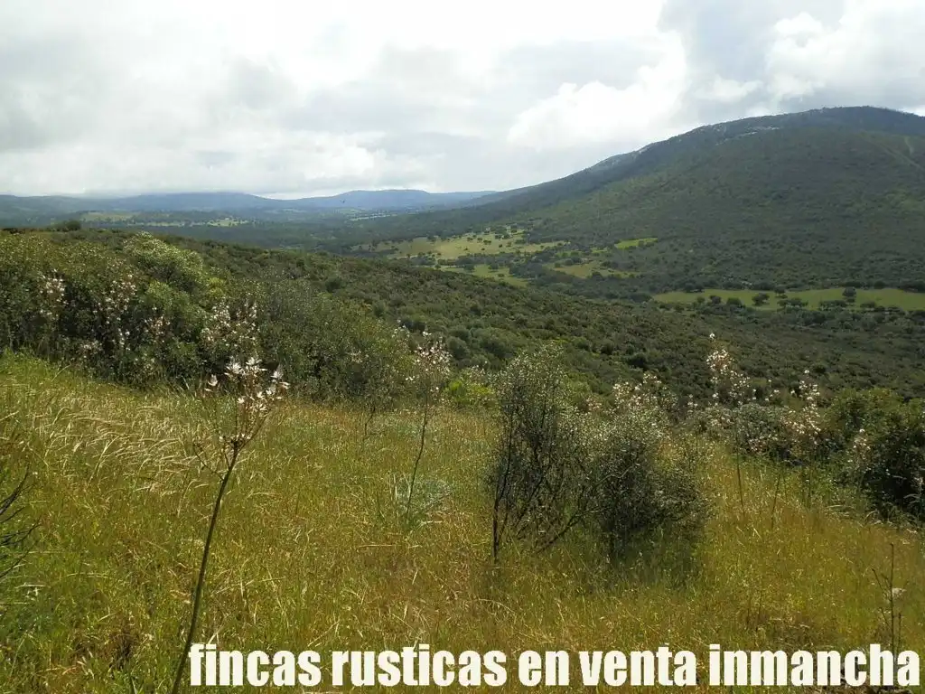 Terreno rústico en venta en Abenójar, imagen 13