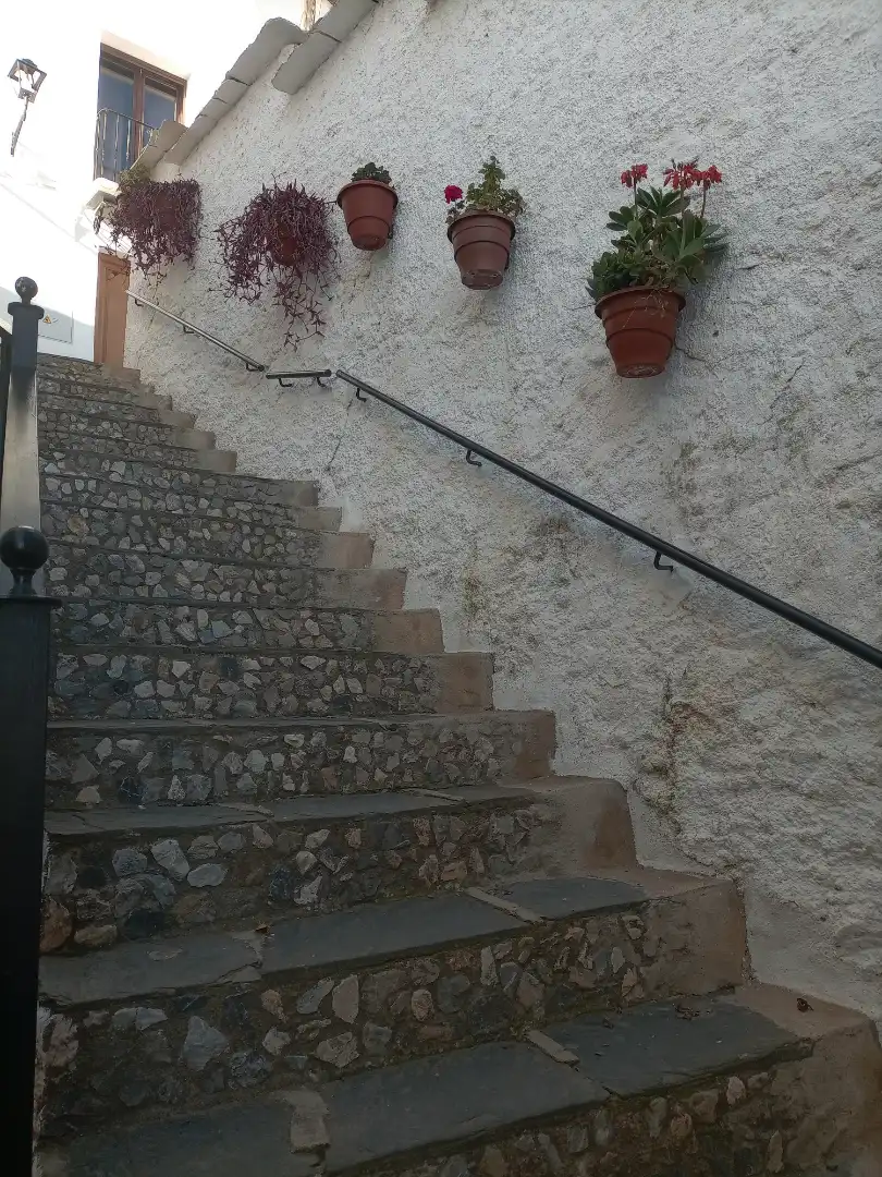 Casa amb jardí en venda a A-4130 29, imagen 2