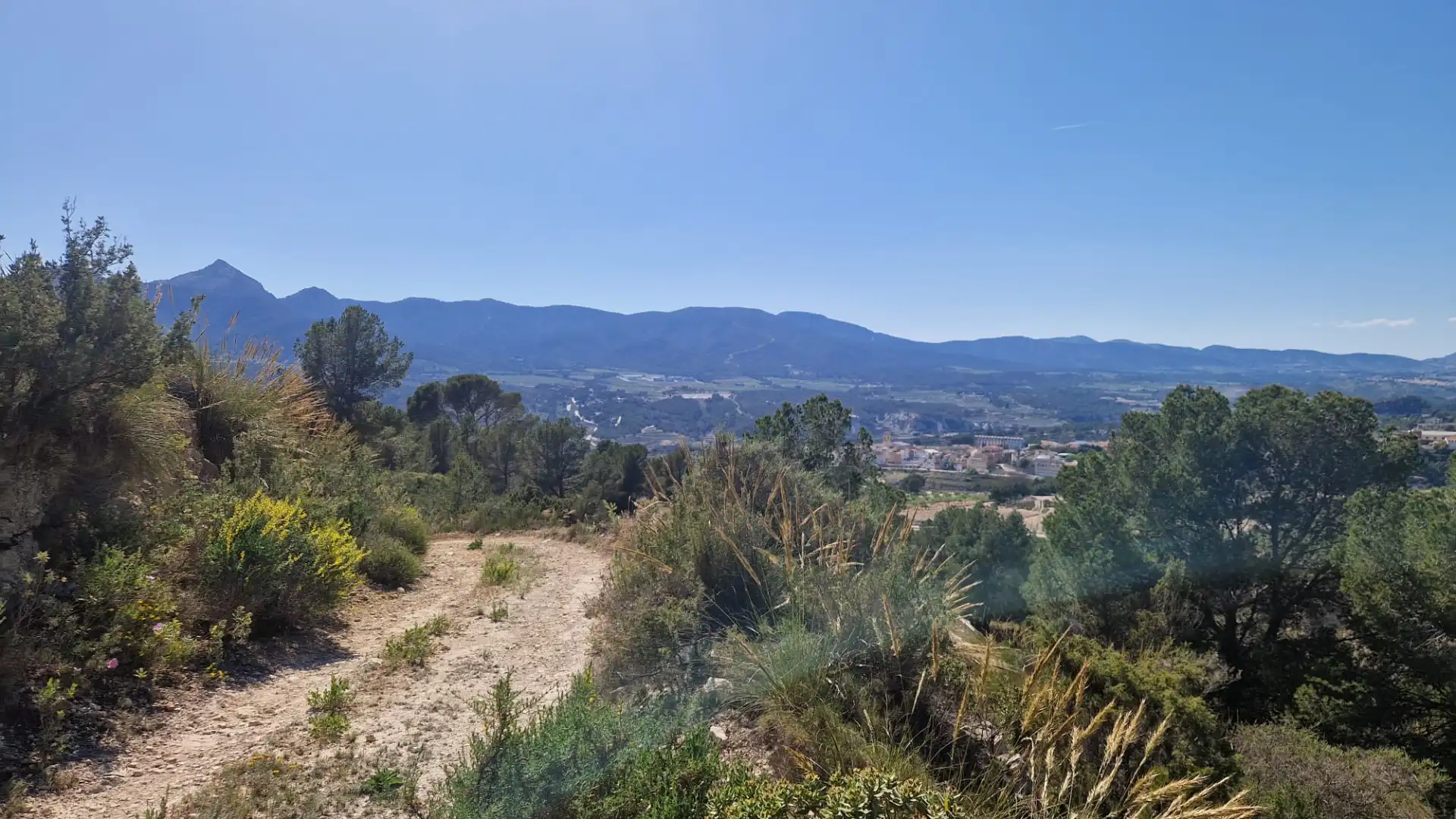 Terreno rustico in vendita a Lugar Castillo, imagen 10