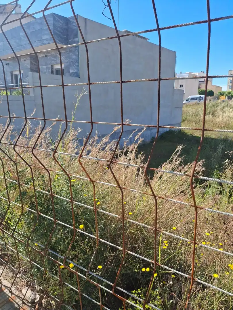 Rural land for sale in Calle Calle Moncofar, imagen 9