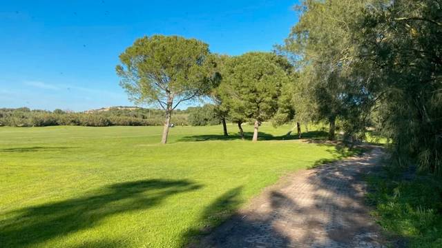 Terreno residencial en Venta en Plaza U.E.T.C 2 en El Rocío - La Milagrosa