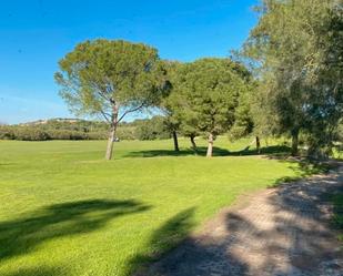Vista exterior de Residencial en venda en Jerez de la Frontera