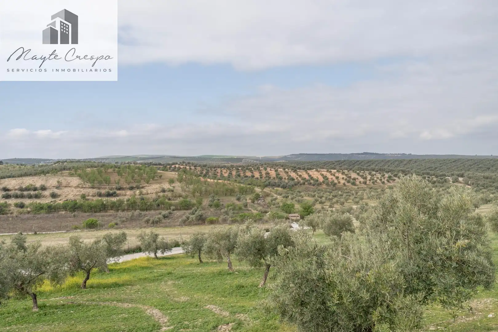 House with pool for sale in Calle del Geranio 29, imagen 22
