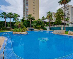 Apartament de lloguer a Calle TERRAL, Cala Palmera - Atrium