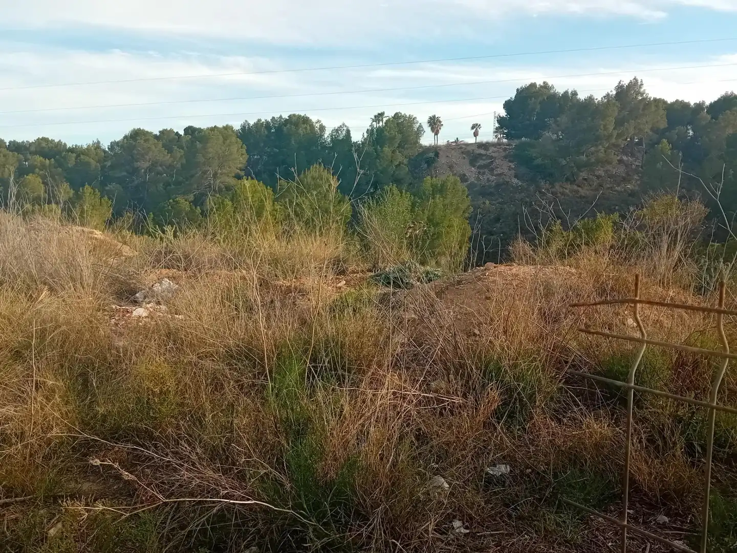 Terrenos y solares en venta en Escandinavia - Cautivador, imagen 6