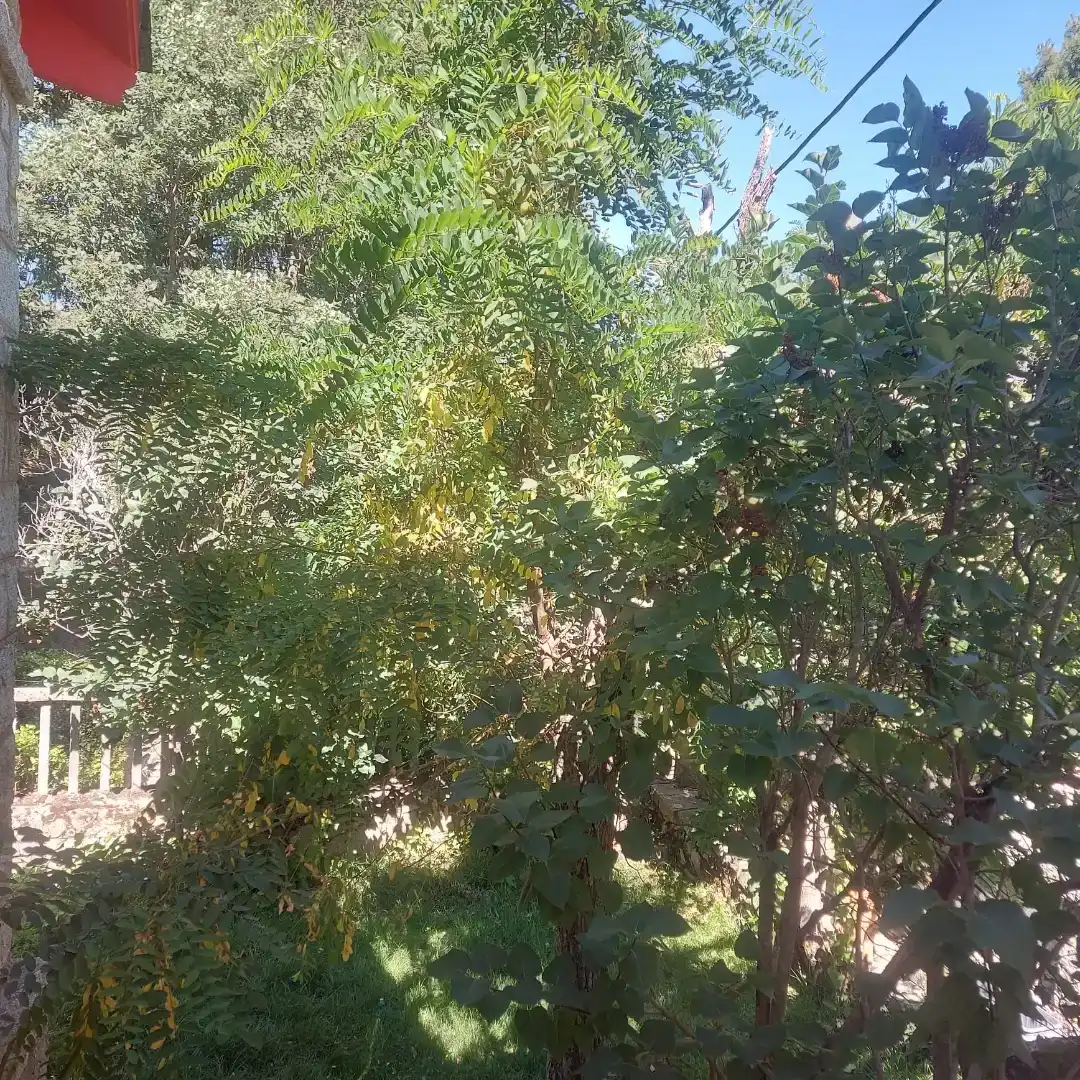 Pis en venda en Bustarviejo amb Jardí privat, Traster i Moblat
