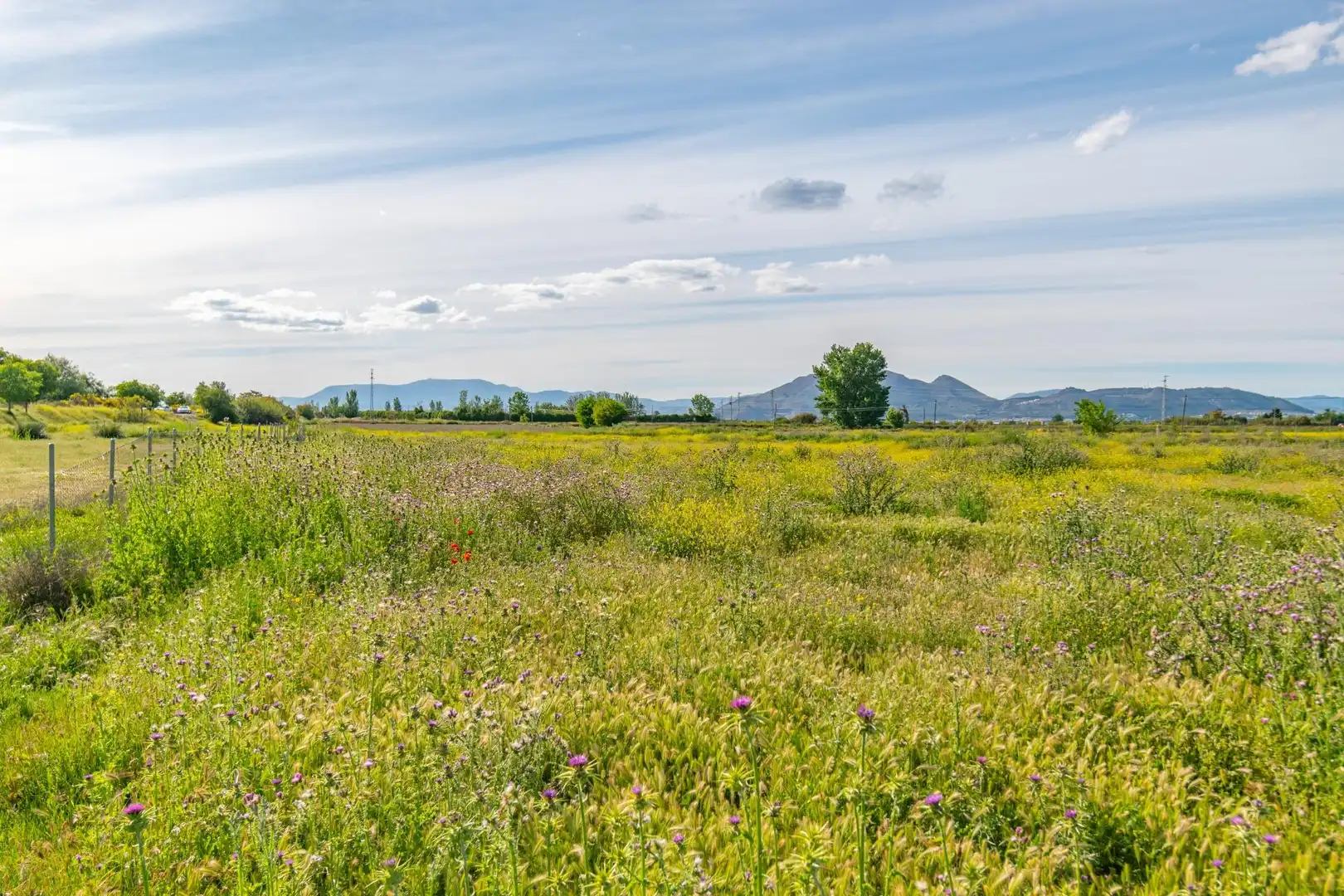 Lands and plots for sale in Polígono 9 Parcela 307 MARACHAT. GRANADA (GRANADA, imagen 35