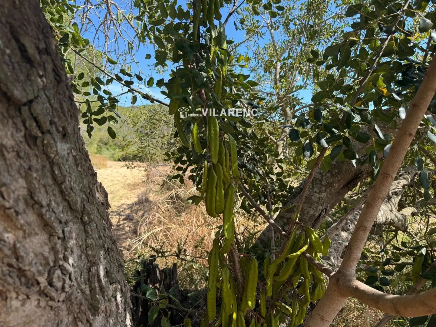 Rural land for sale in Massos de Vespella, imagen 36