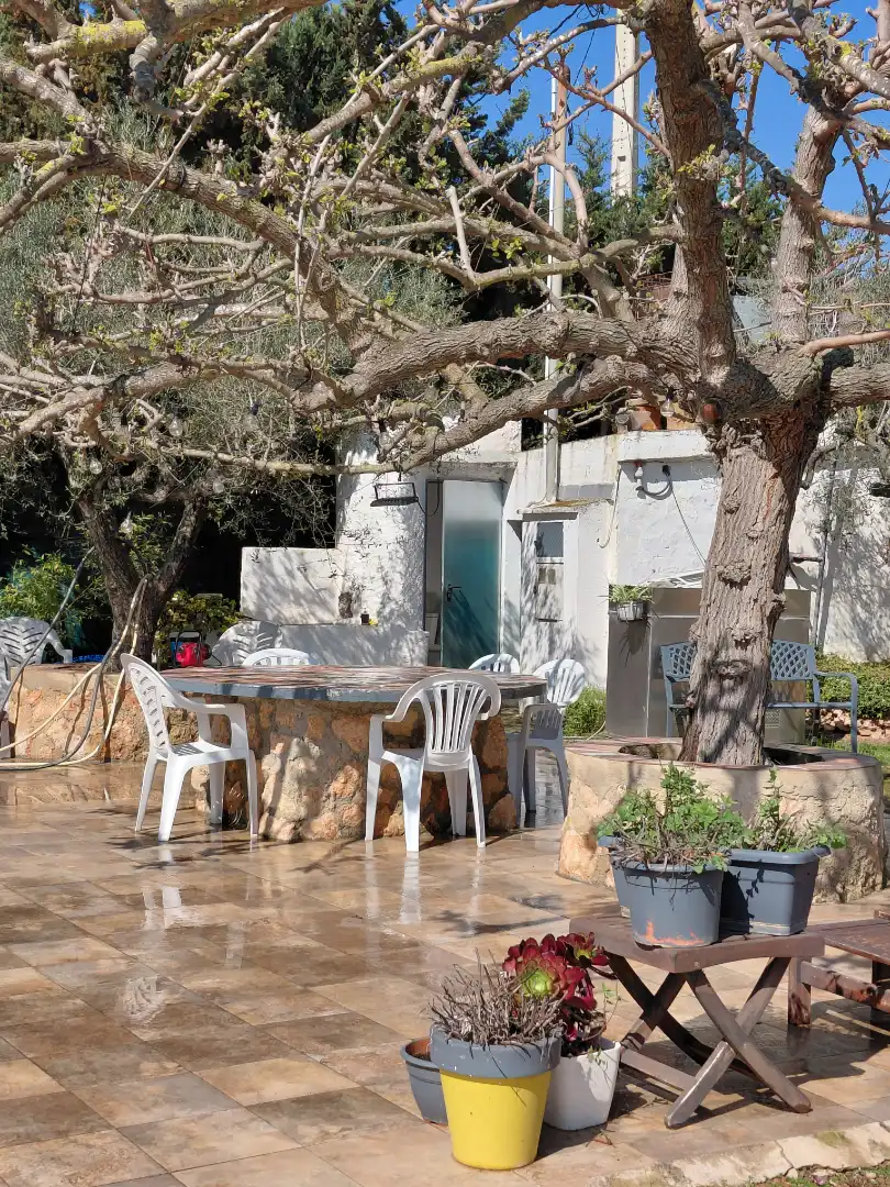 Terreno rústico en venta en Banyeres del Penedès, imagen 14