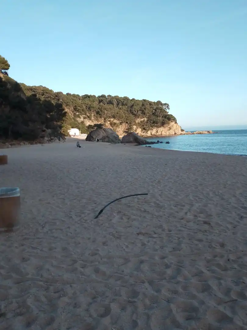 Vista exterior de Casa o xalet en venda en Lloret de Mar amb Jardí privat, Terrassa i Traster