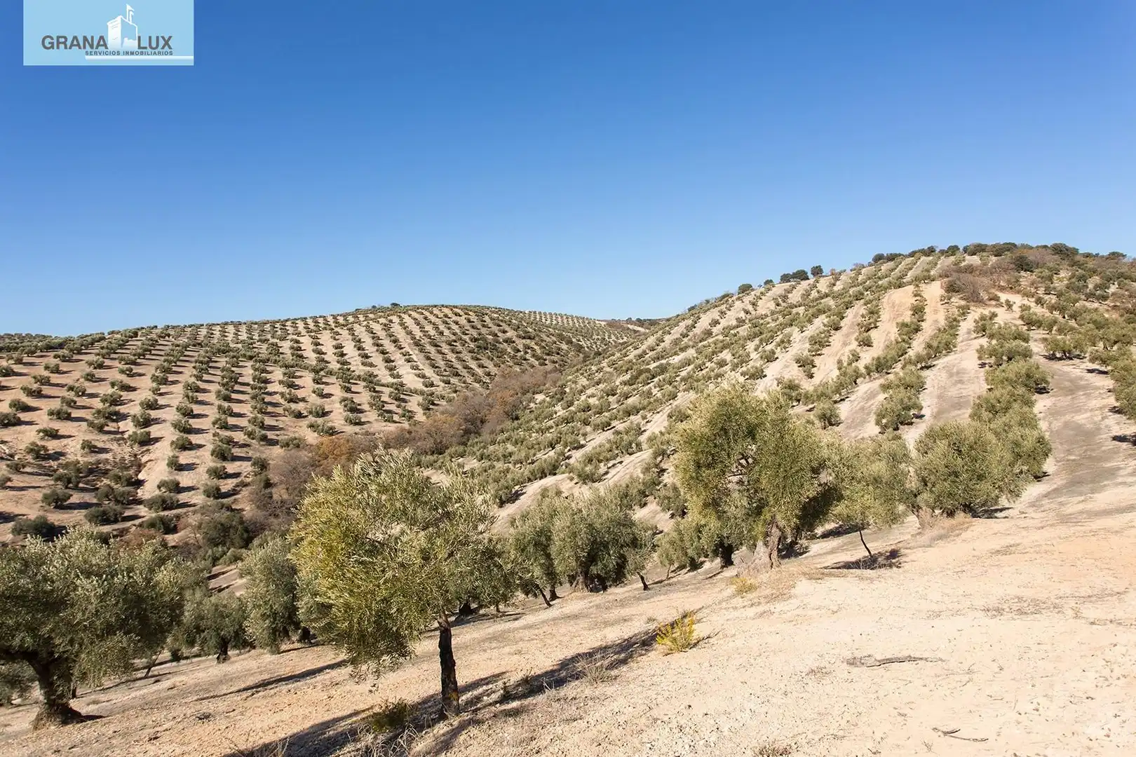 Exterior view of Land for sale in Campotéjar