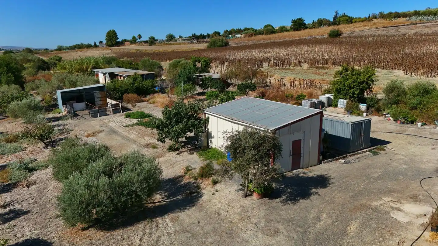 Maison rustique à vendre à Las Cabezas de San Juan, imagen 2