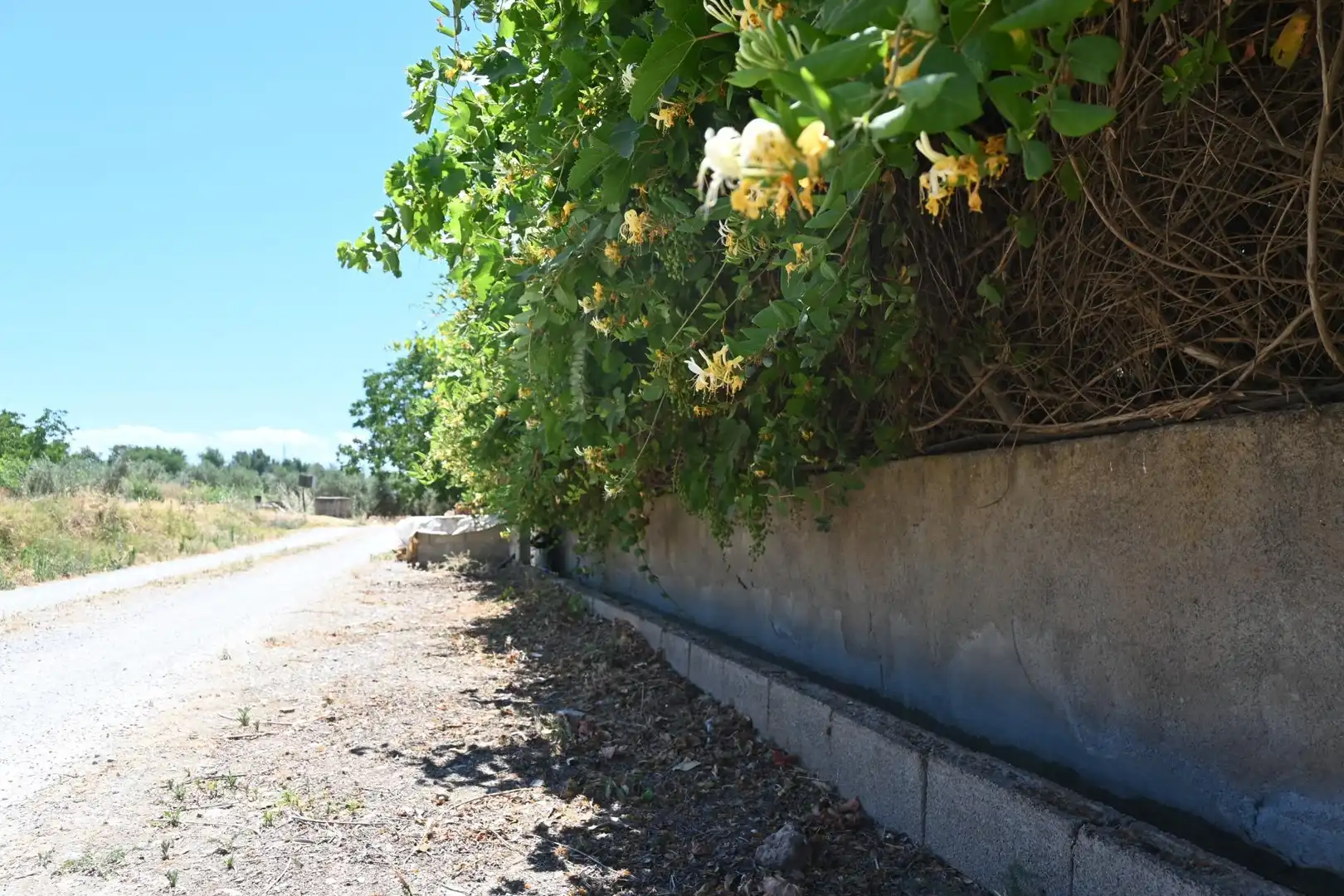 Terreni e lotti in vendita a Albolote, imagen 30