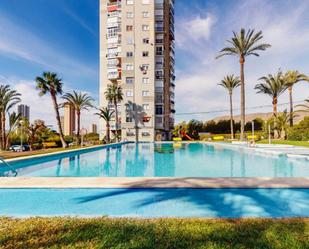 Piscina de Apartament en venda en Benidorm amb Aire condicionat, Calefacció i Jardí privat