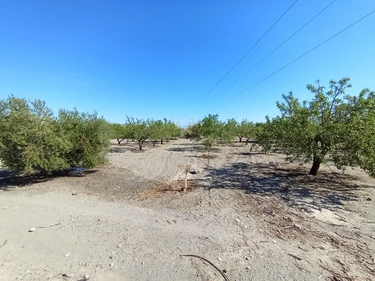Terreni e lotti in vendita a Pedanías Sur, imagen 14