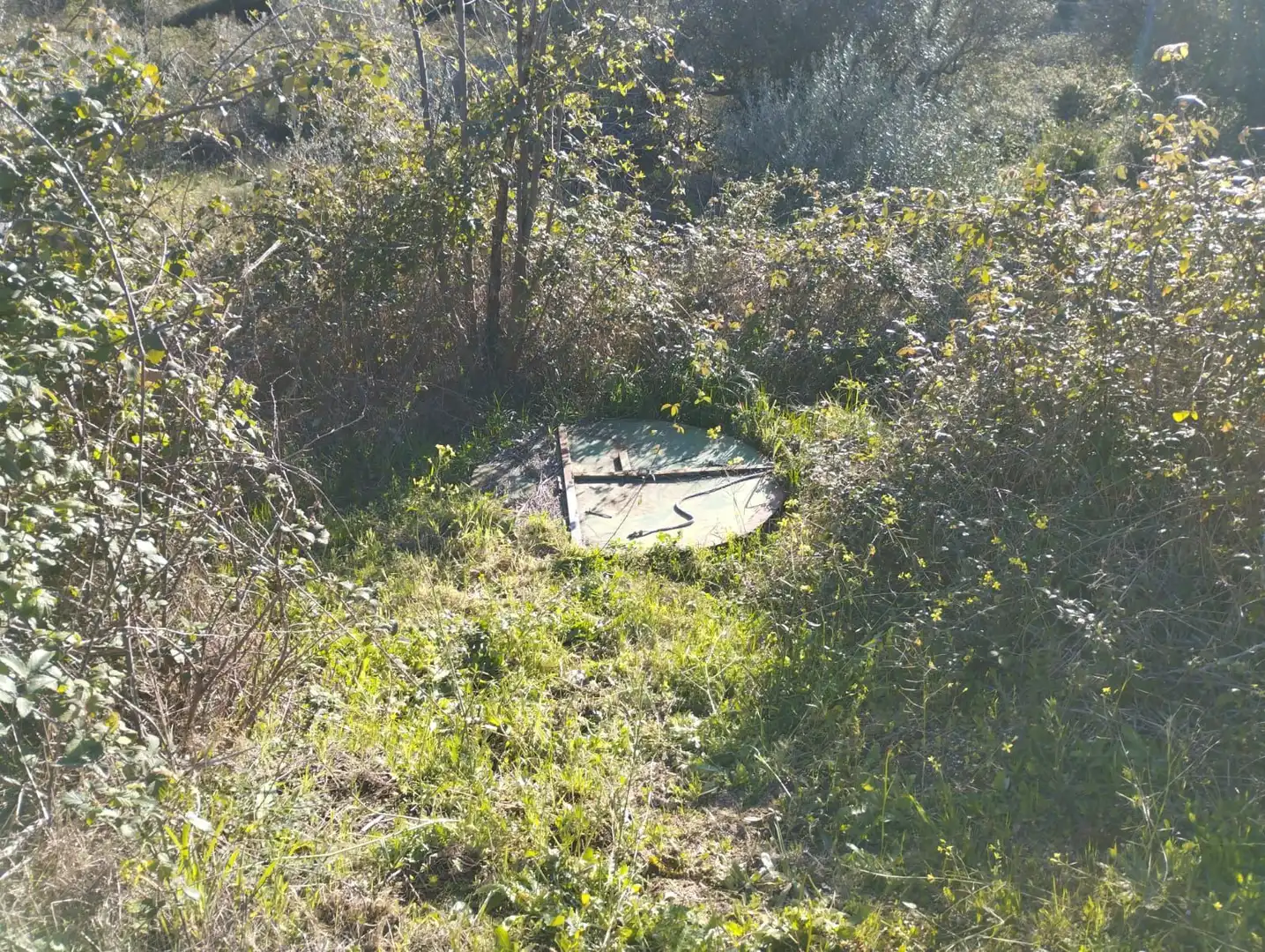 Terreni e lotti in vendita a Viandar de la Vera, imagen 20