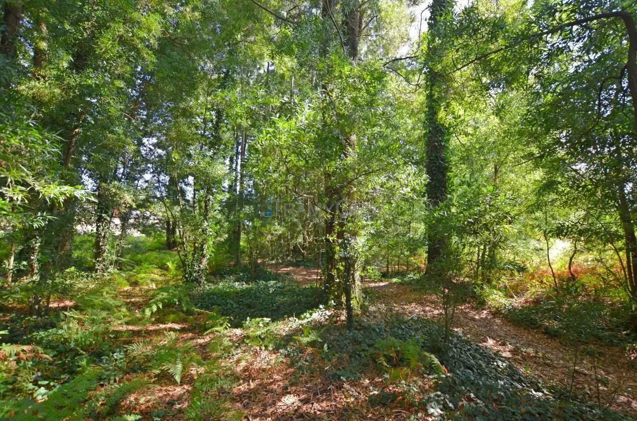 Wohnbaugrundstück zum Verkauf in LUGAR A COSTA, imagen 4