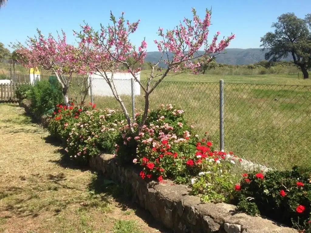 Jardí de Finca rústica en venda en Almadén de la Plata amb Calefacció i Terrassa