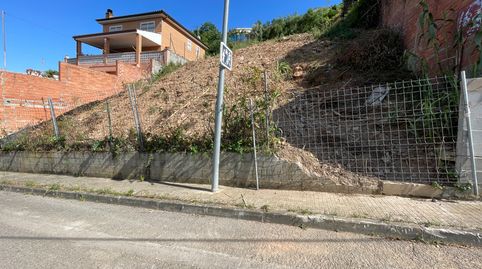 CALLE TRANQUILA, immagine 5