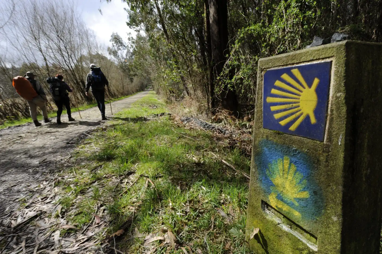 Vista exterior de Finca rústica en venta en Arzúa con Jardín privado