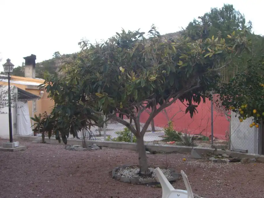 Villa à vendre à El Secanet - Hacienda del Sol, imagen 13