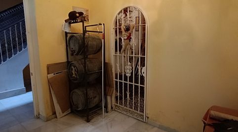 Photo 5 of Houses for sale in El Rocío - La Milagrosa, Jerez de la Frontera