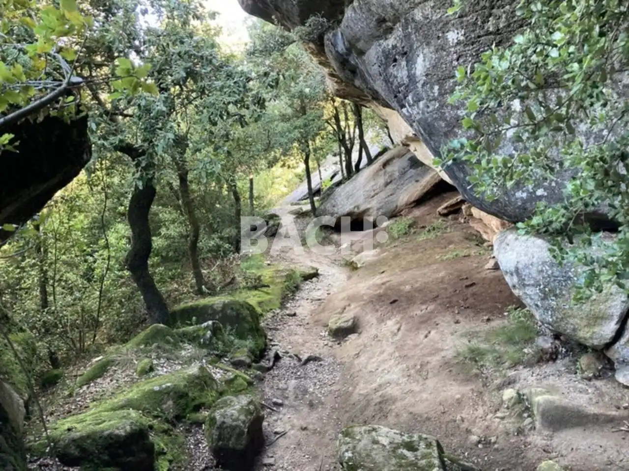 Terreno rustico in vendita a Avenida Goitallops 2, imagen 17