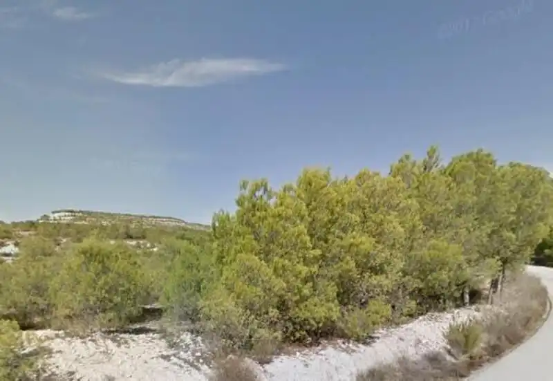 Land for sale in Cieza