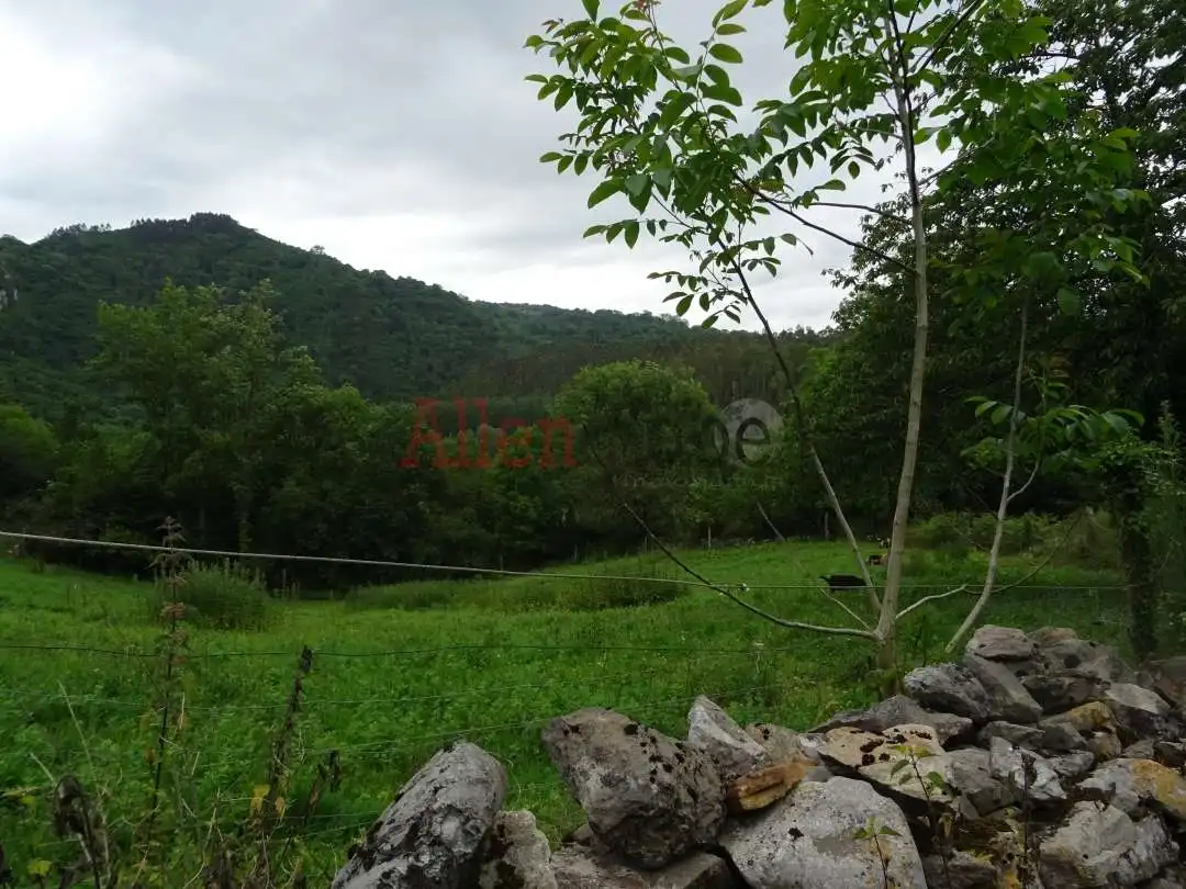 Rustikales Grundstück zum Verkauf in San Claudio - Trubia - Las Caldas