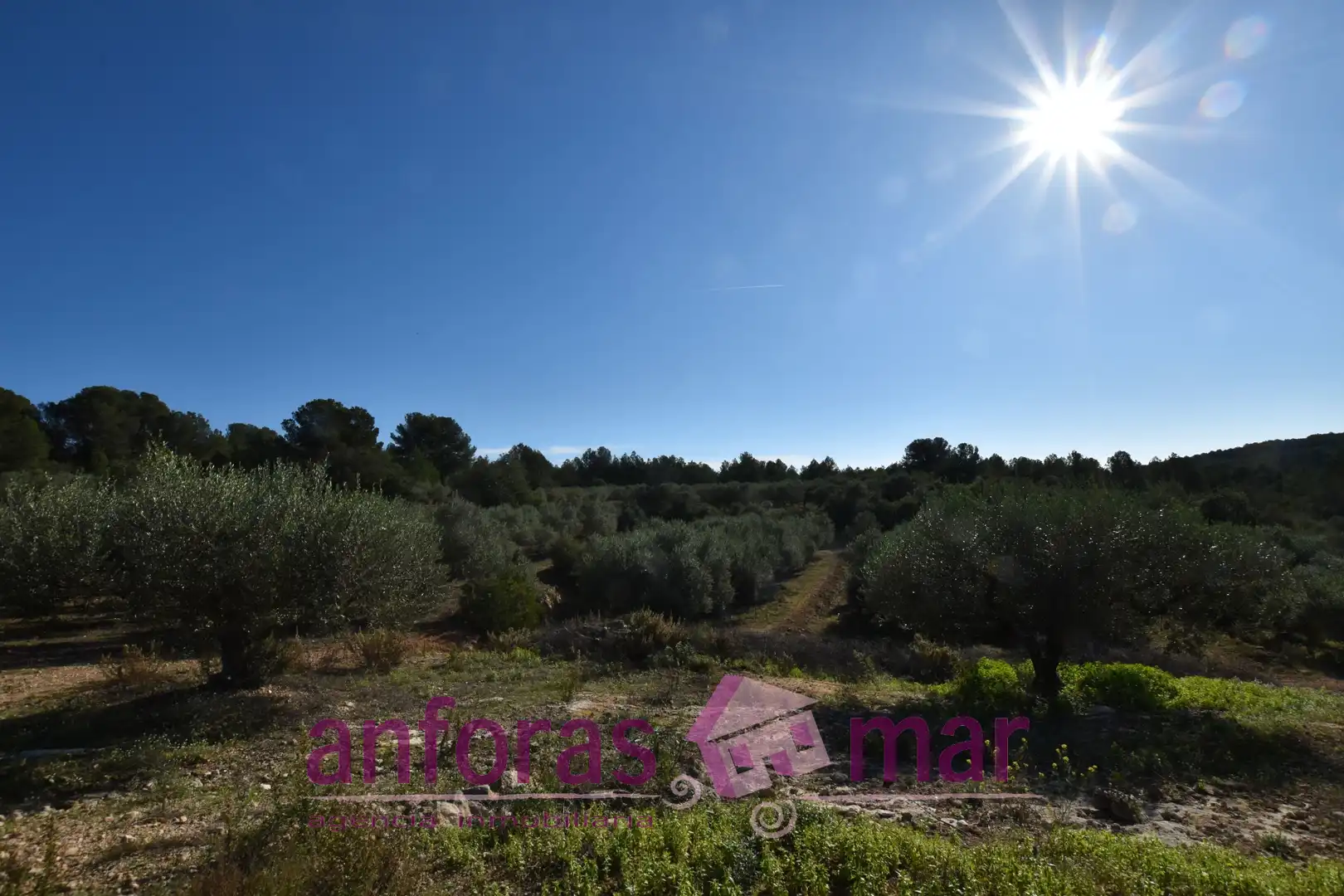 Terreno rustico in vendita a Urbanitzacions de Llevant, imagen 5