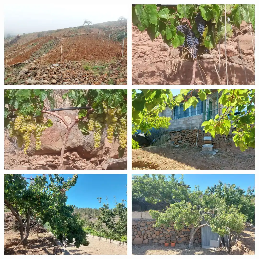 Grundstücke zum Verkauf in Granadilla de Abona