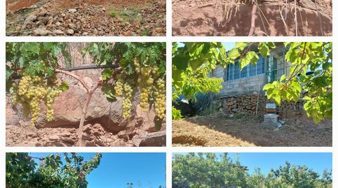 Foto 4 von Grundstücke zum Verkauf in Granadilla de Abona ciudad, Granadilla de Abona