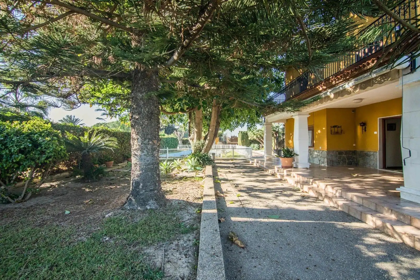 Vista exterior de Casa o xalet en venda en Elche / Elx amb Terrassa, Traster i Piscina