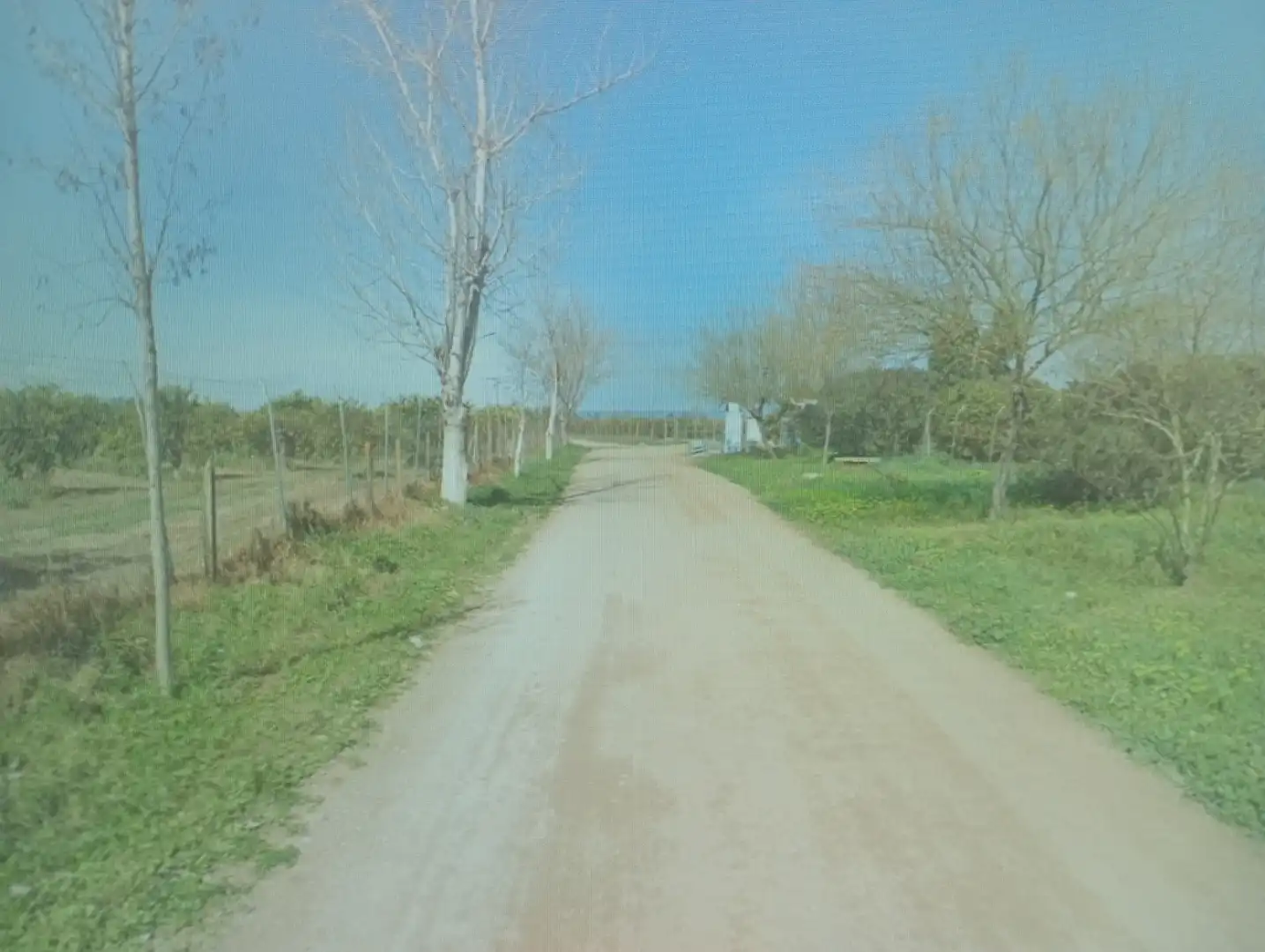 Terreny rústic en venda a Callejón las viñas 91